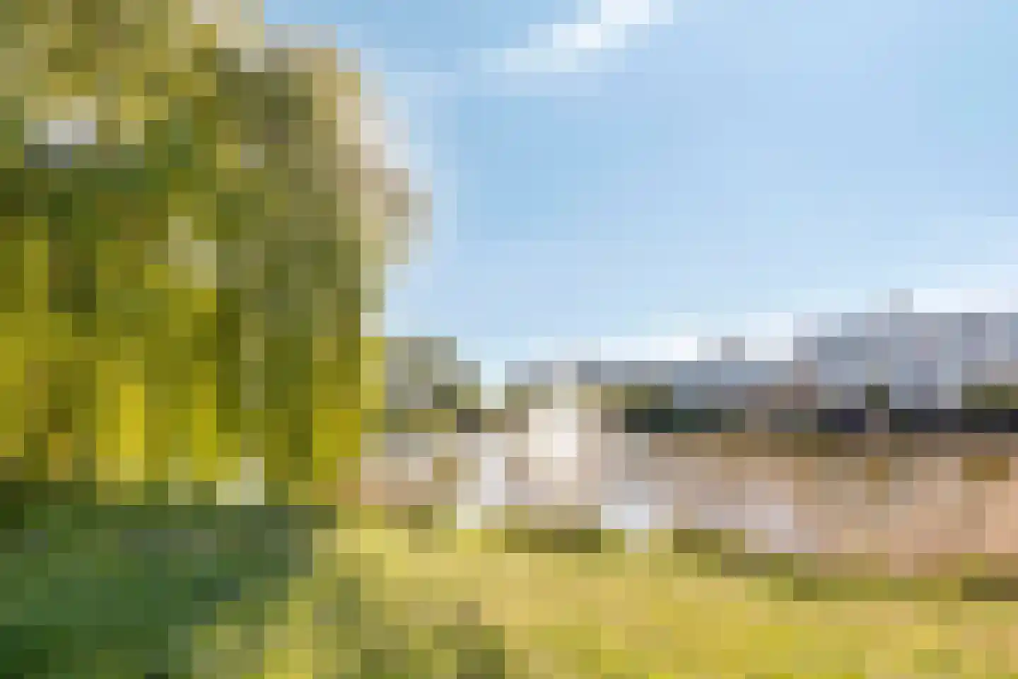 Henry Moorepassage 71 Capelle aan den IJssel thumbnail 26