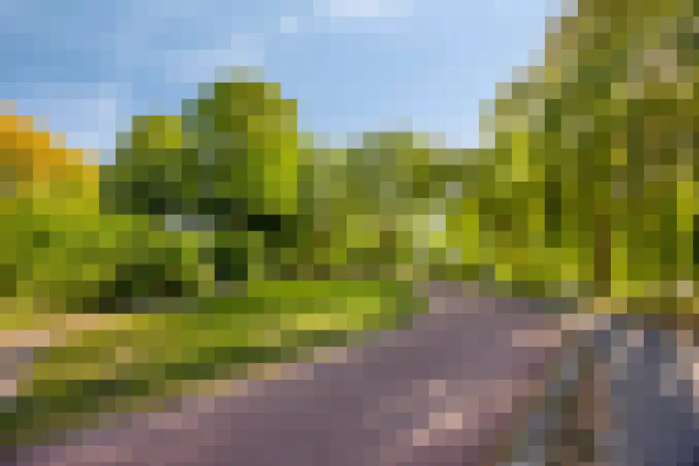 Henry Moorepassage 71 Capelle aan den IJssel thumbnail 28