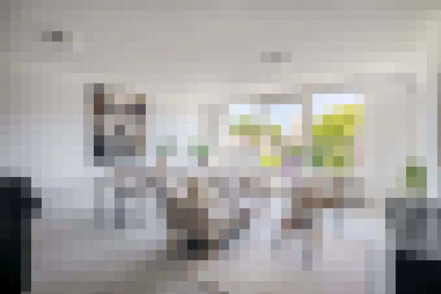 Henry Moorepassage 71 Capelle aan den IJssel thumbnail 6