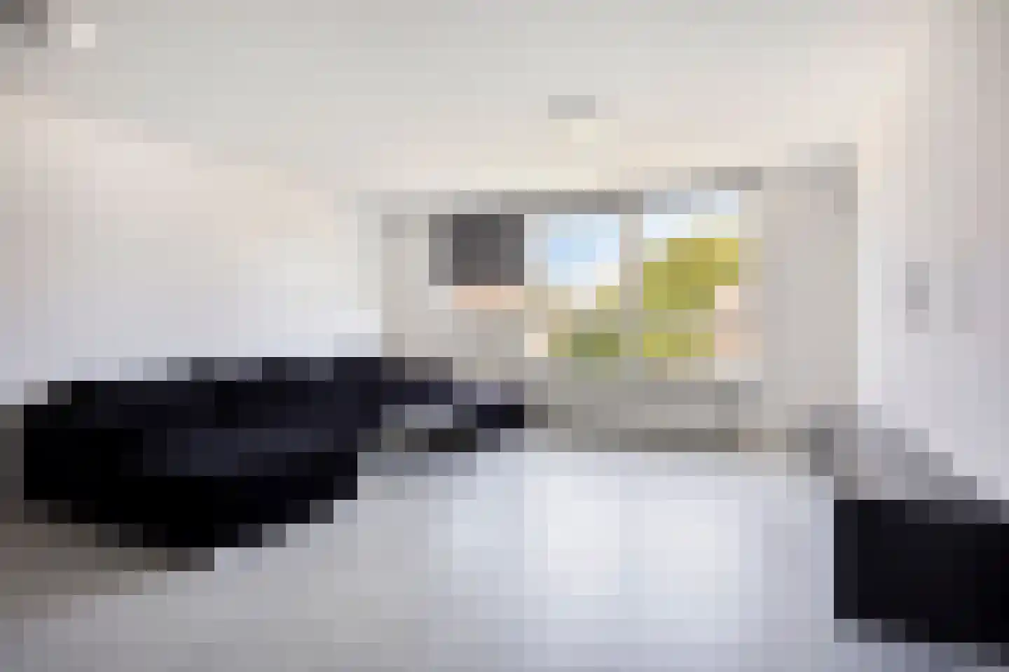 Henry Moorepassage 71 Capelle aan den IJssel thumbnail 8