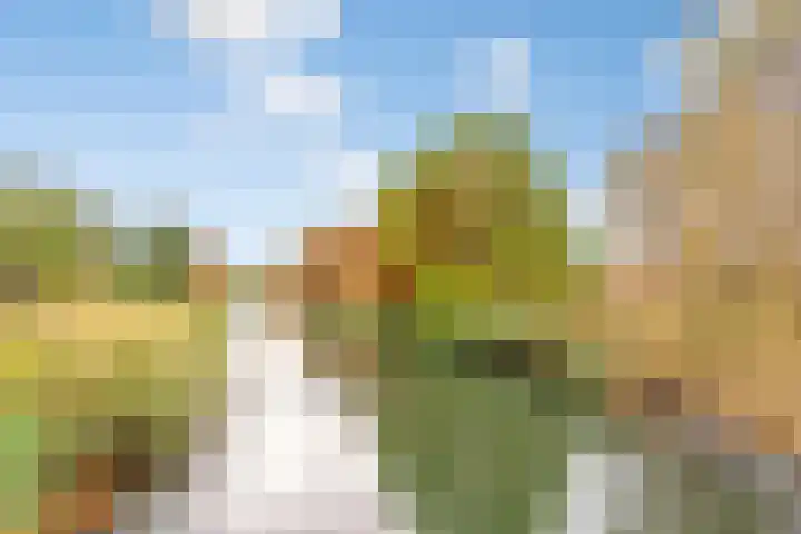 Henry Moorestraat 24 Almere thumbnail 64