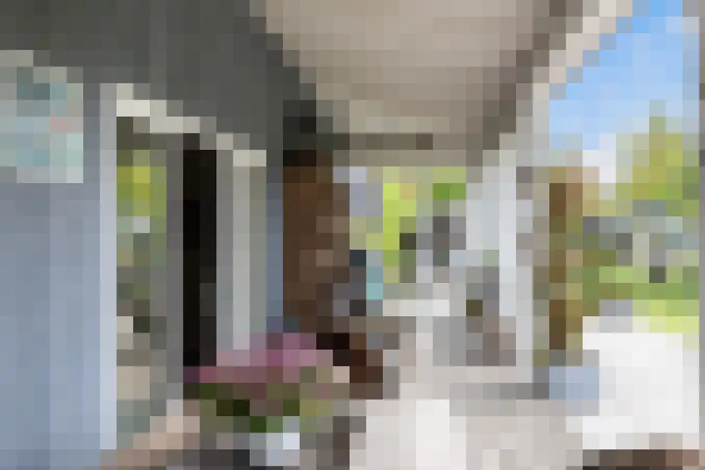 Henry Shawstraat 24 Almere thumbnail 22