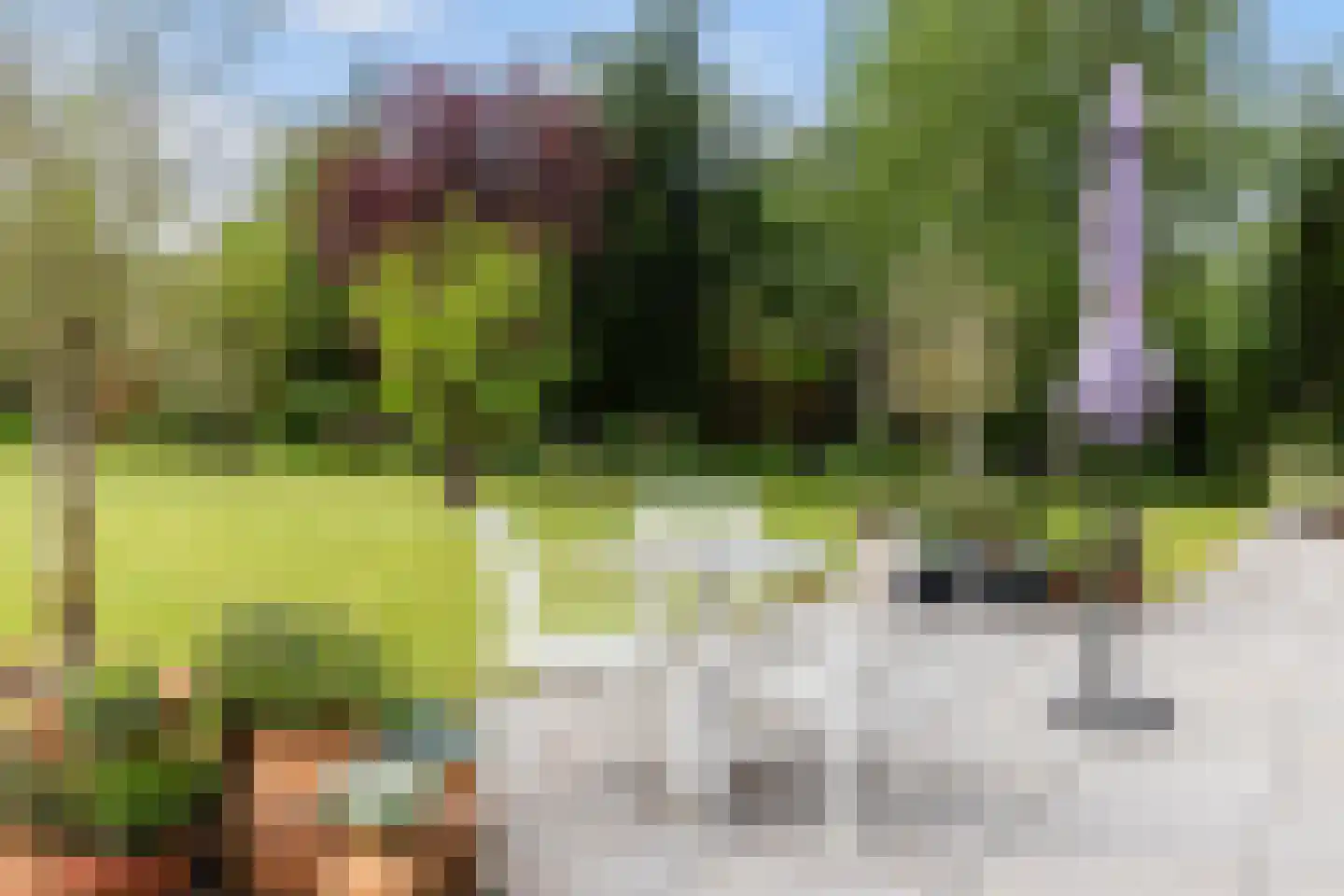 Henry Shawstraat 24 Almere thumbnail 52