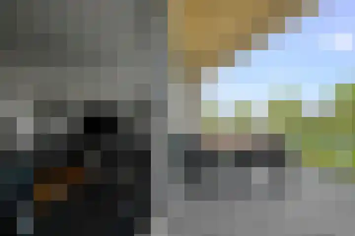 Henry Stanleystraat 113 Almere thumbnail 15