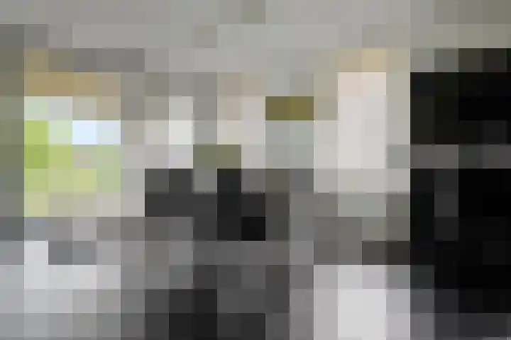Henry Stanleystraat 113 Almere thumbnail 6