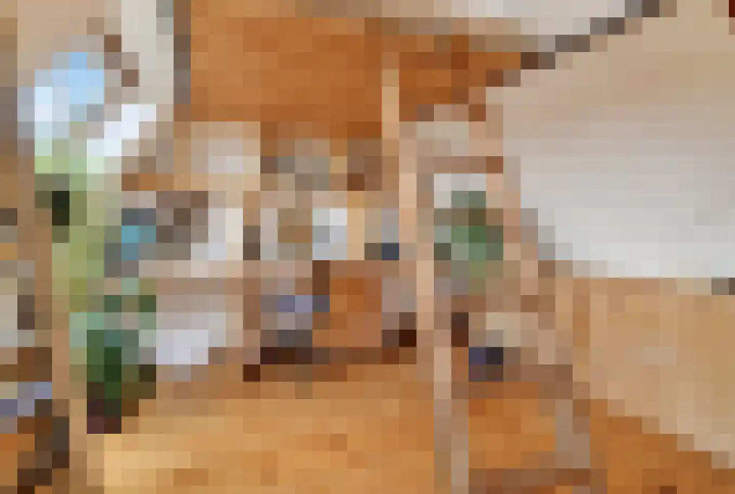 Hensbroekerstraat 24 Amsterdam thumbnail 21