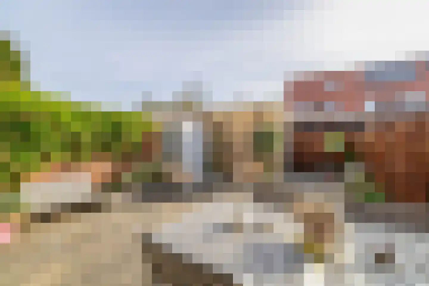 Hensbroekstraat 20 Zaandam thumbnail 22