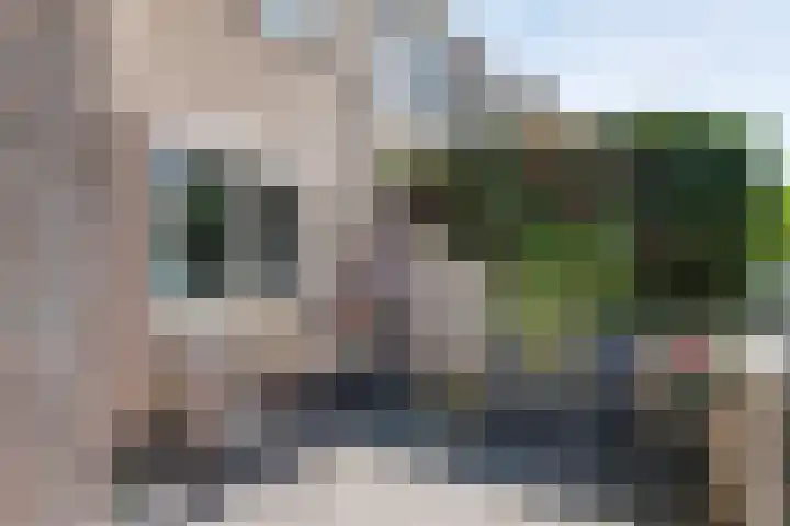 Hensbroekstraat 24 Zaandam thumbnail 33
