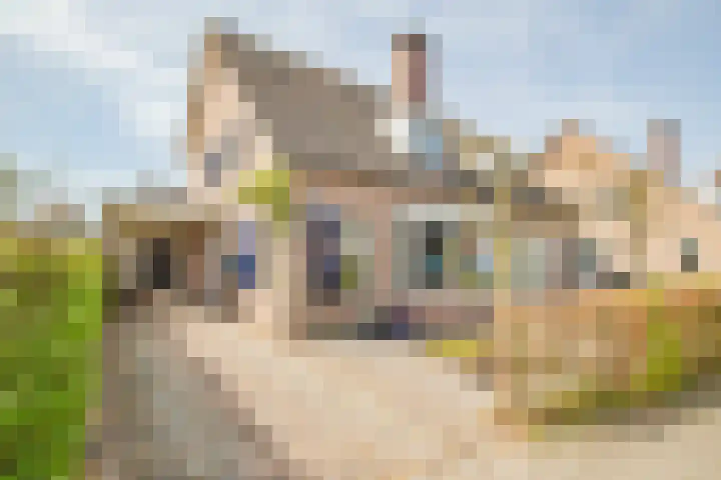 Henschoterlaan 31 Woudenberg