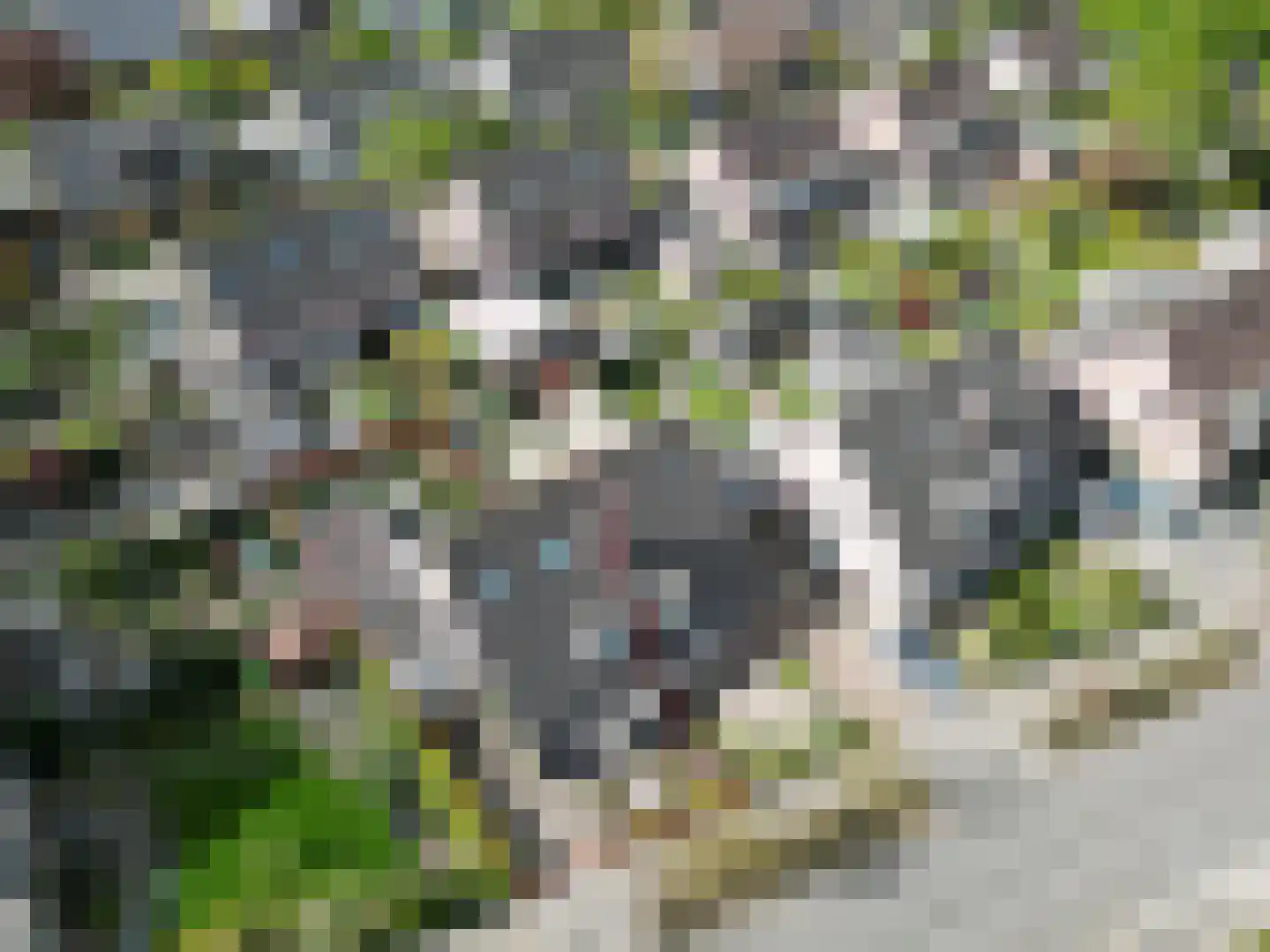 Henschoterlaan 31 Woudenberg thumbnail 47