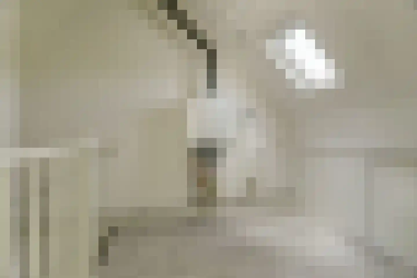 Henschoterlaan 33 Woudenberg thumbnail 34