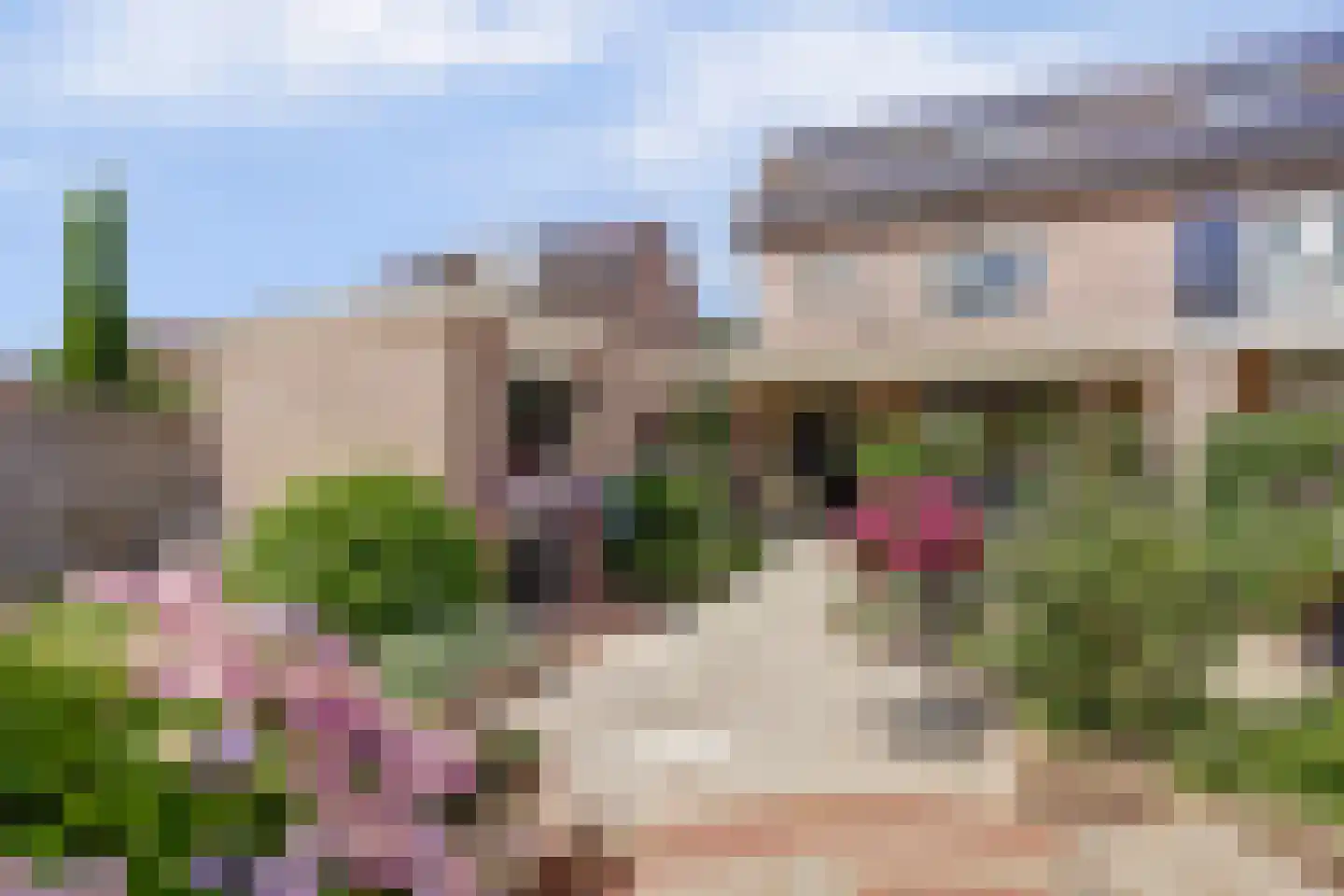 Henschoterlaan 33 Woudenberg thumbnail 48