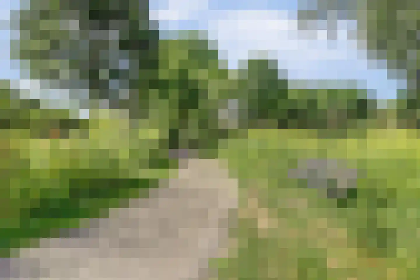 Henschoterlaan 33 Woudenberg thumbnail 55