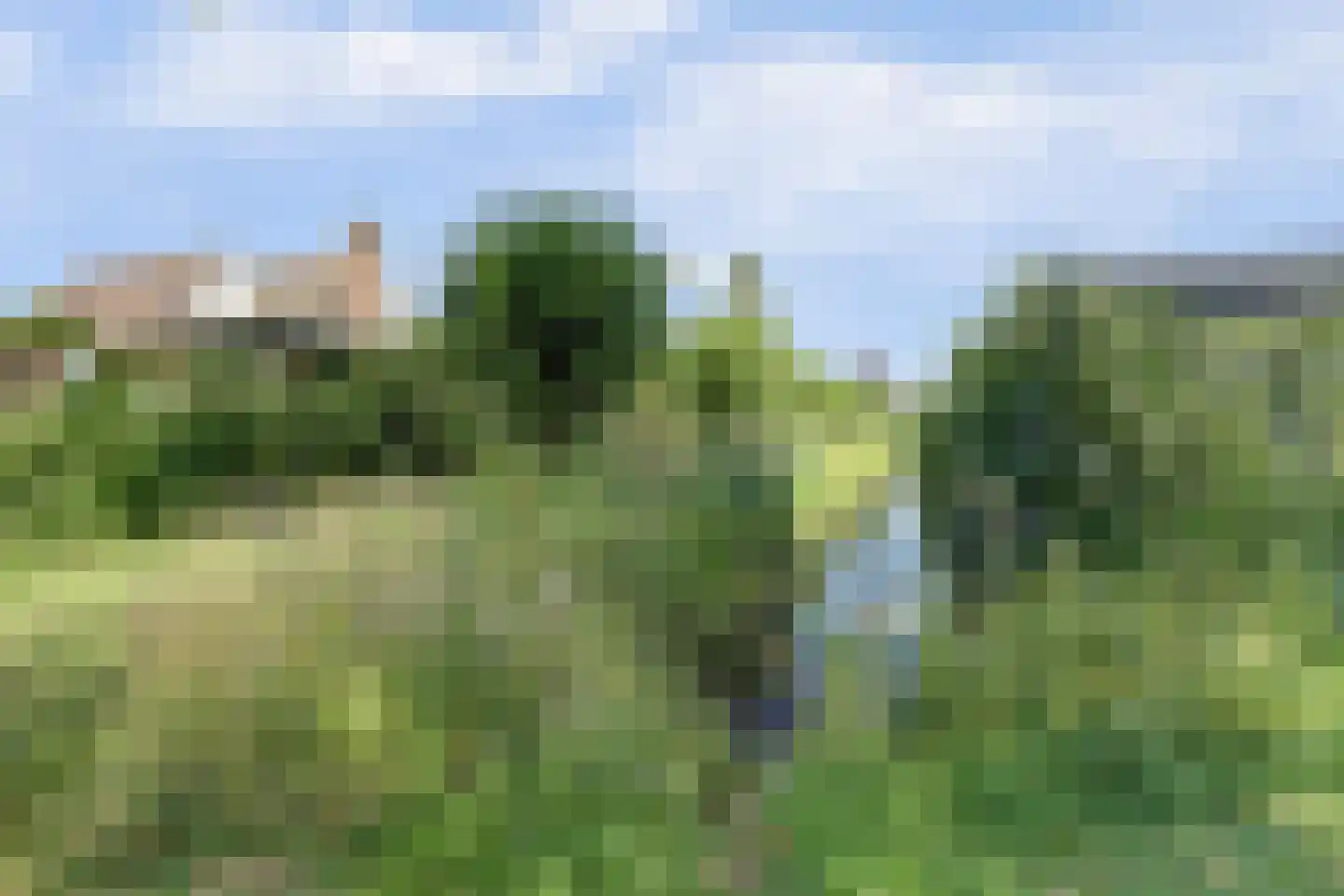 Henschoterlaan 33 Woudenberg thumbnail 56