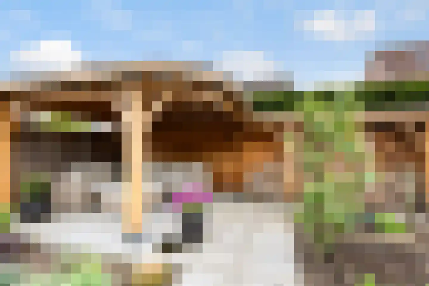 Henschoterlaan 37 Woudenberg thumbnail 35