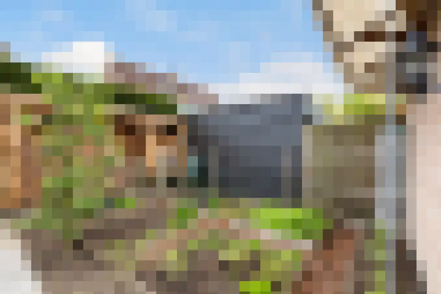 Henschoterlaan 37 Woudenberg thumbnail 37
