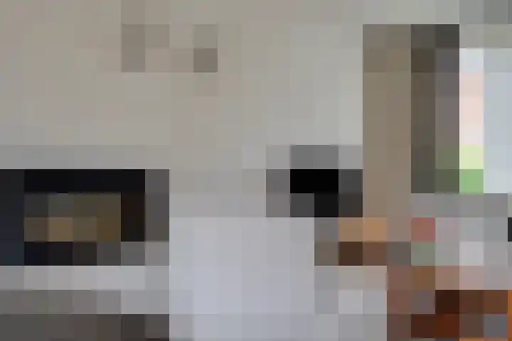 Hensenbosstraat 19 Beesel thumbnail 10