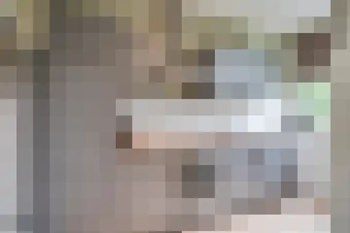 Hensenbosstraat 19 Beesel thumbnail 15