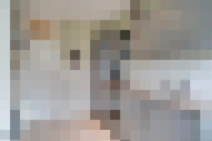 Hensenbosstraat 19 Beesel thumbnail 17