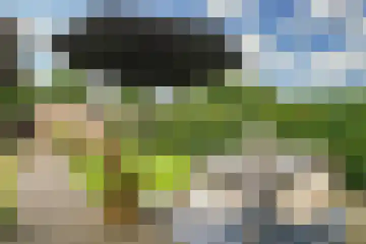Hensenbosstraat 19 Beesel thumbnail 18