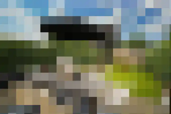 Hensenbosstraat 19 Beesel thumbnail 19