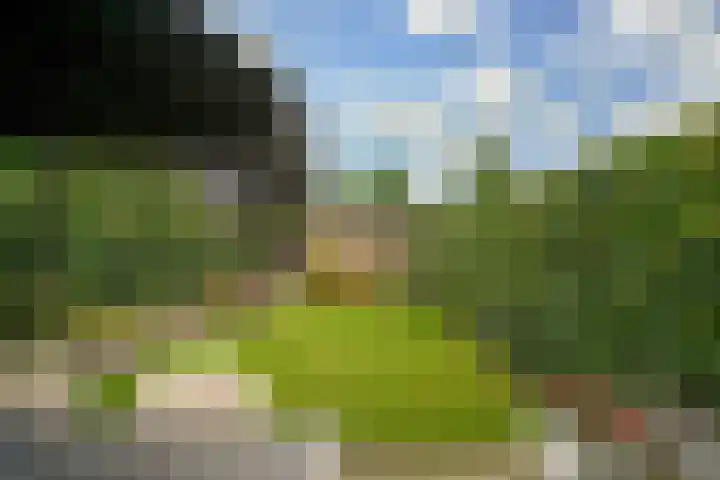 Hensenbosstraat 19 Beesel thumbnail 20