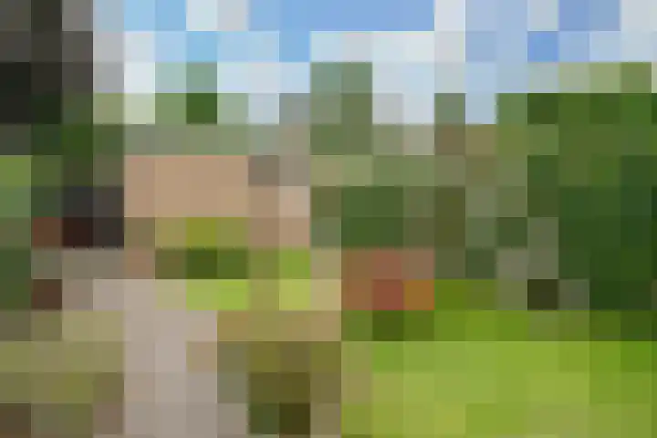 Hensenbosstraat 19 Beesel thumbnail 21