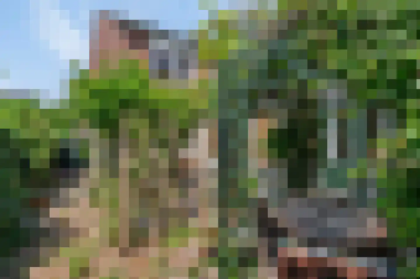 Hensenbosstraat 28 Beesel thumbnail 10