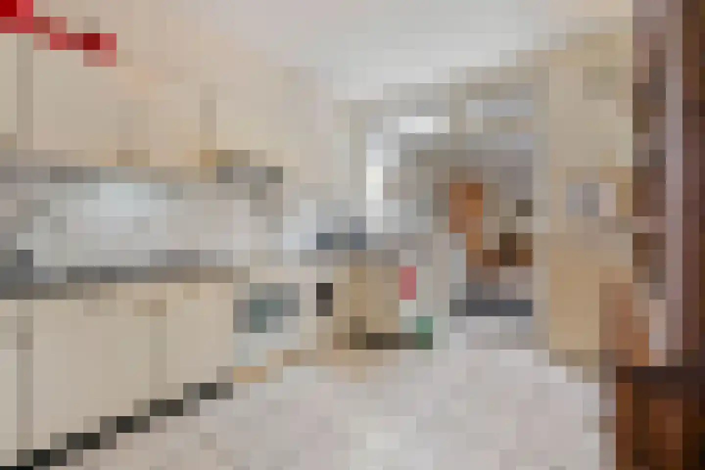 Hensenbosstraat 28 Beesel thumbnail 6