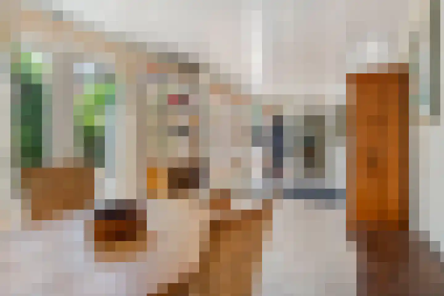 Hensenbosstraat 28 Beesel thumbnail 8