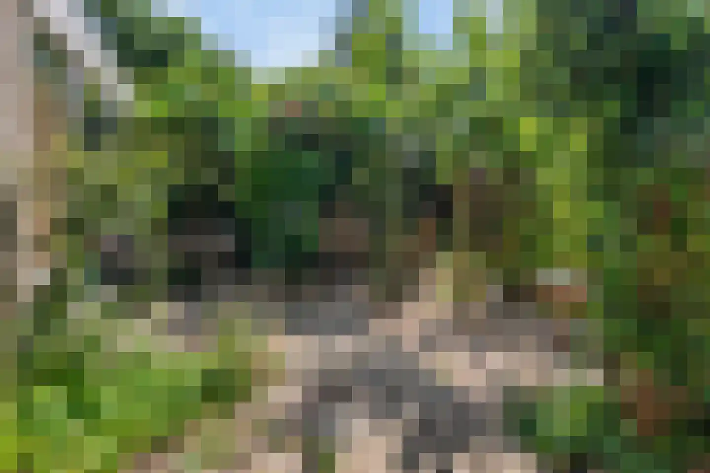 Hensenbosstraat 28 Beesel thumbnail 9