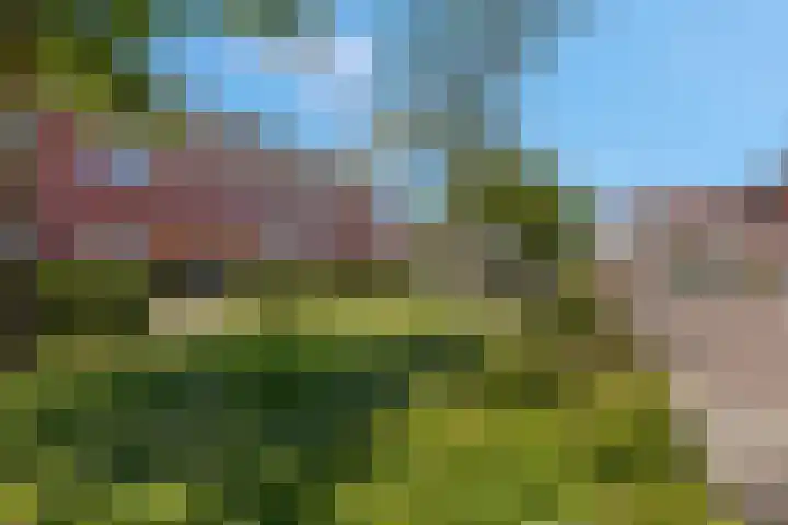 Hensenhof 8 Veenendaal thumbnail 26