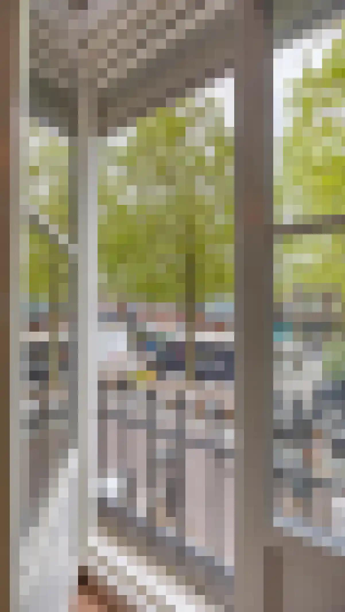 Henseniusplein 12 A Venray thumbnail 11