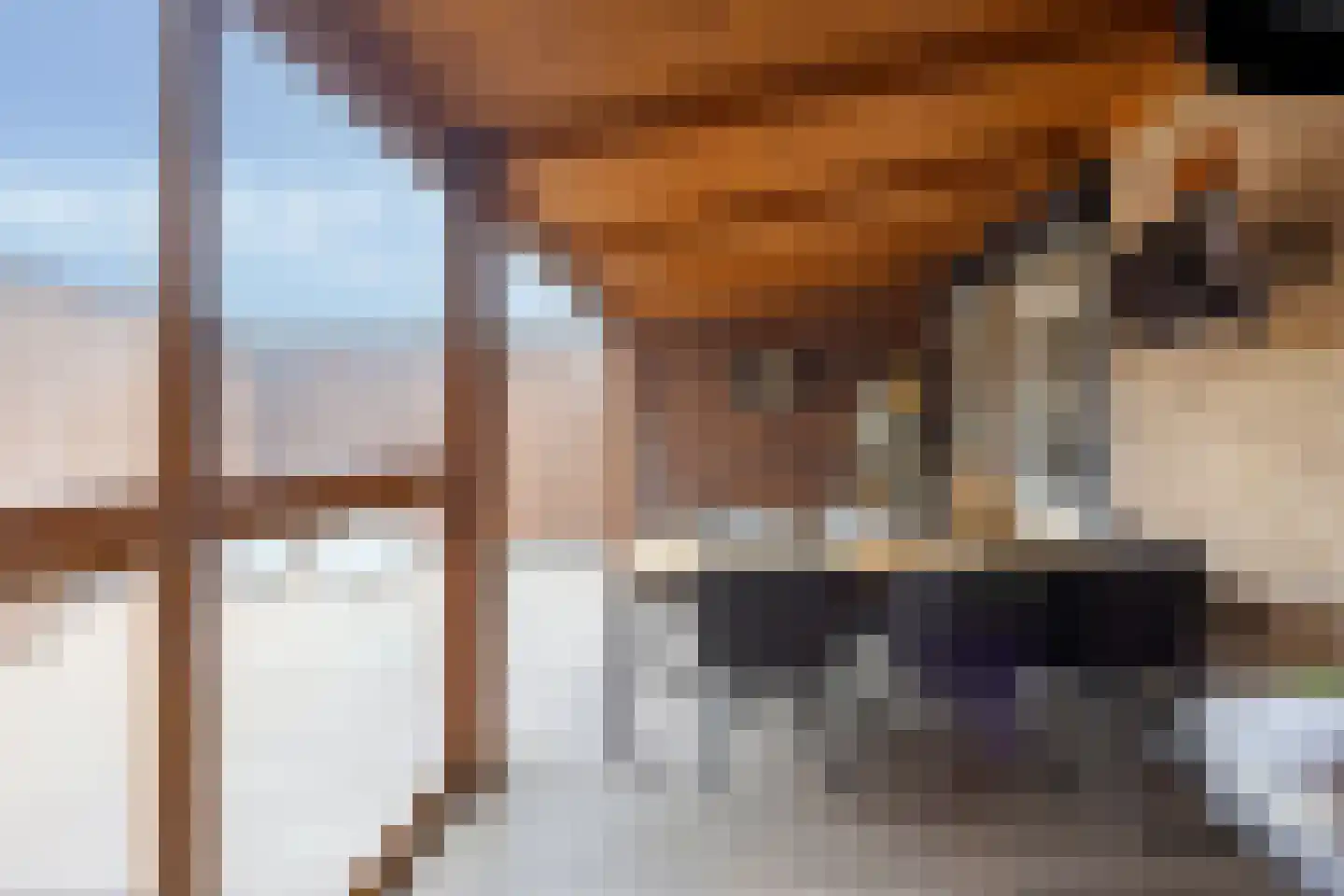 Henseniusplein 12 A Venray thumbnail 22
