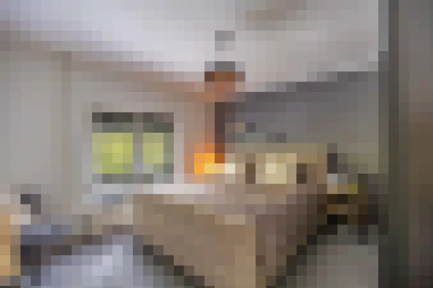Henseniusplein 12 A Venray thumbnail 28