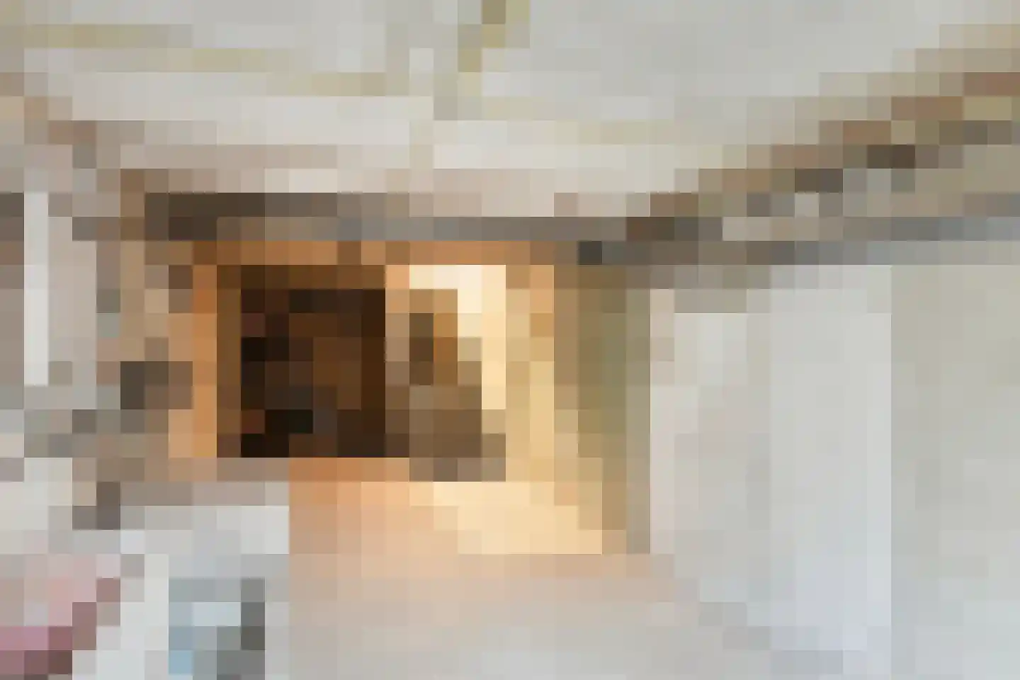 Henseniusstraat 13 A Venray thumbnail 38