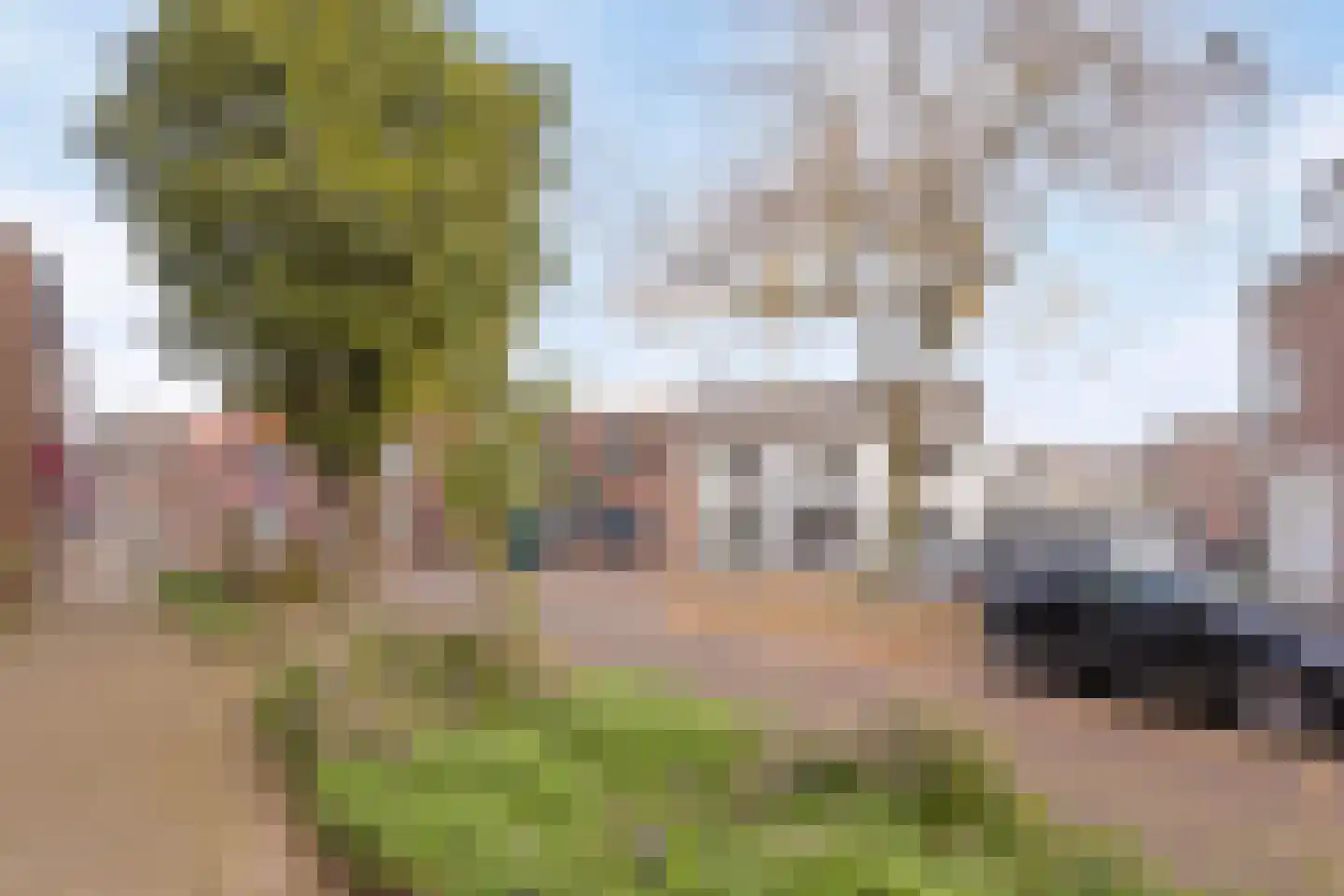 Henseniusstraat 13 A Venray thumbnail 6