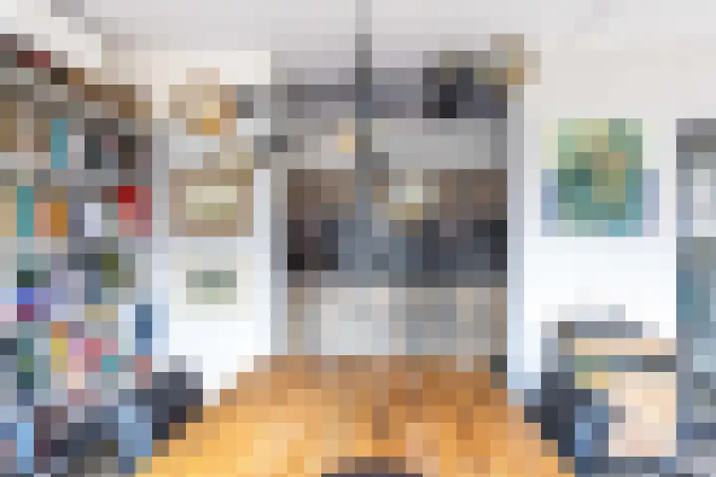 Henseniusstraat 31 Venray thumbnail 20