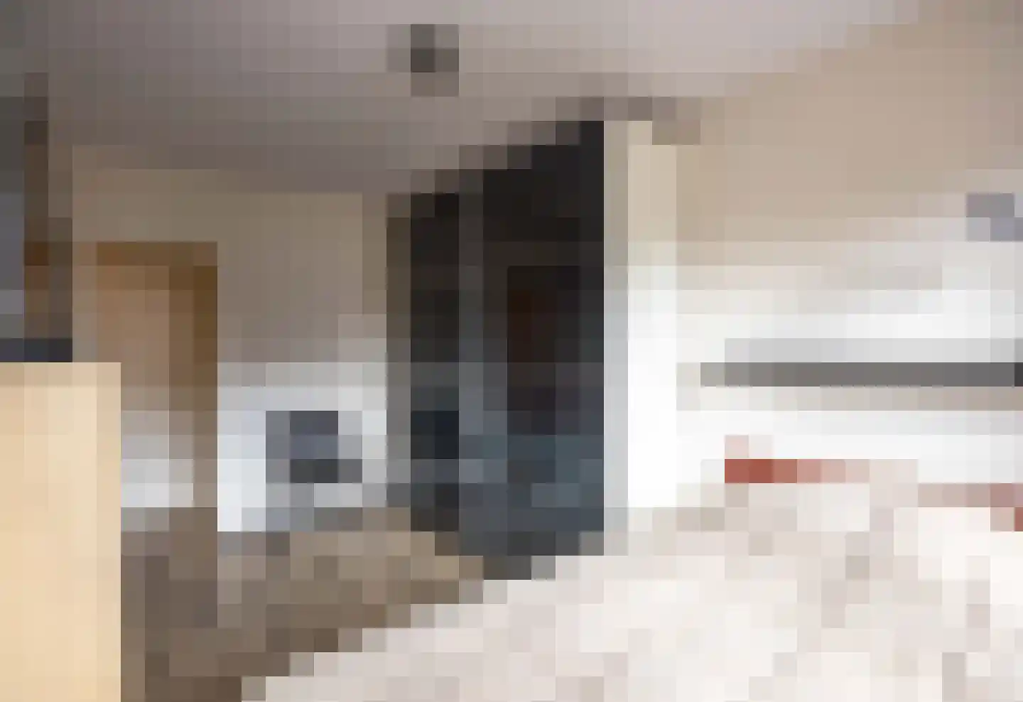 Henseniusstraat 31 Venray thumbnail 25