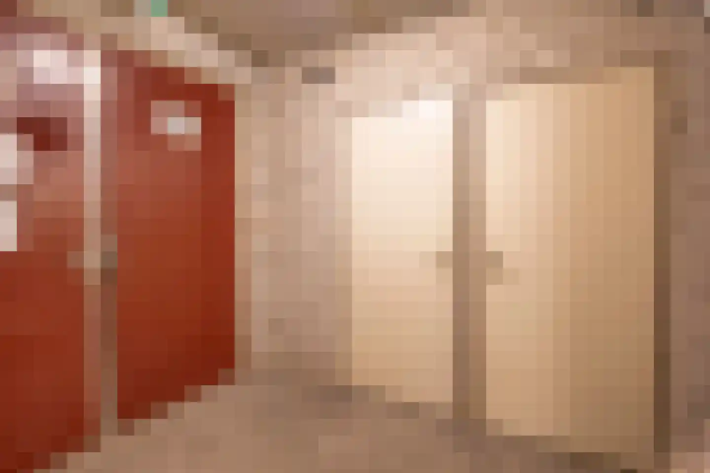 Henseniusstraat 31 Venray thumbnail 27