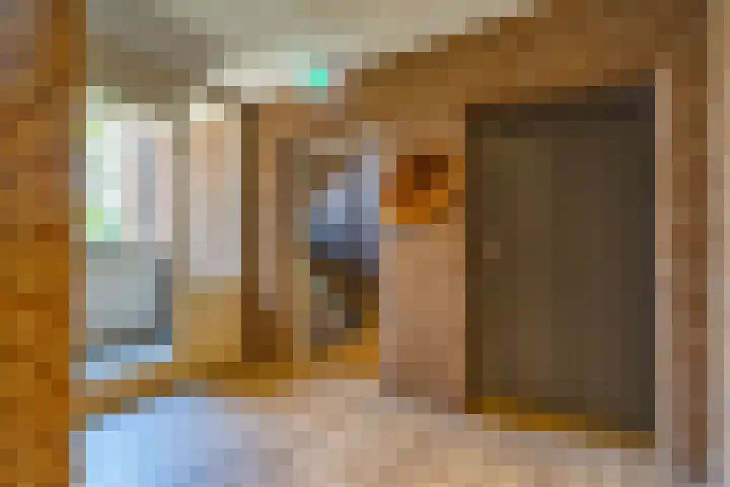 Henseniusstraat 31 Venray thumbnail 6