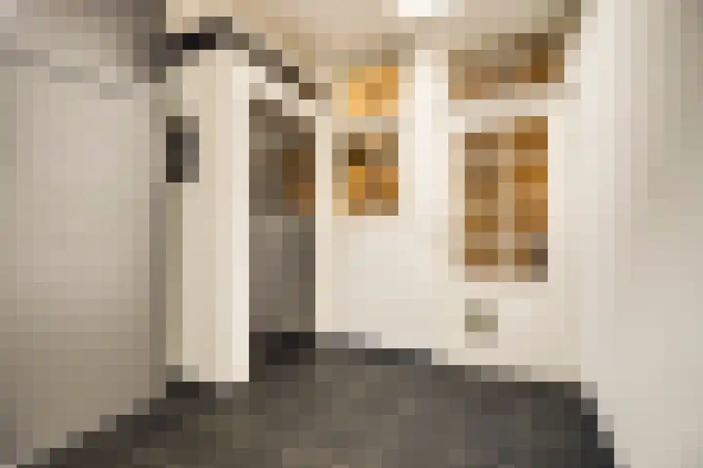 Henseniusstraat 53 Venray thumbnail 13