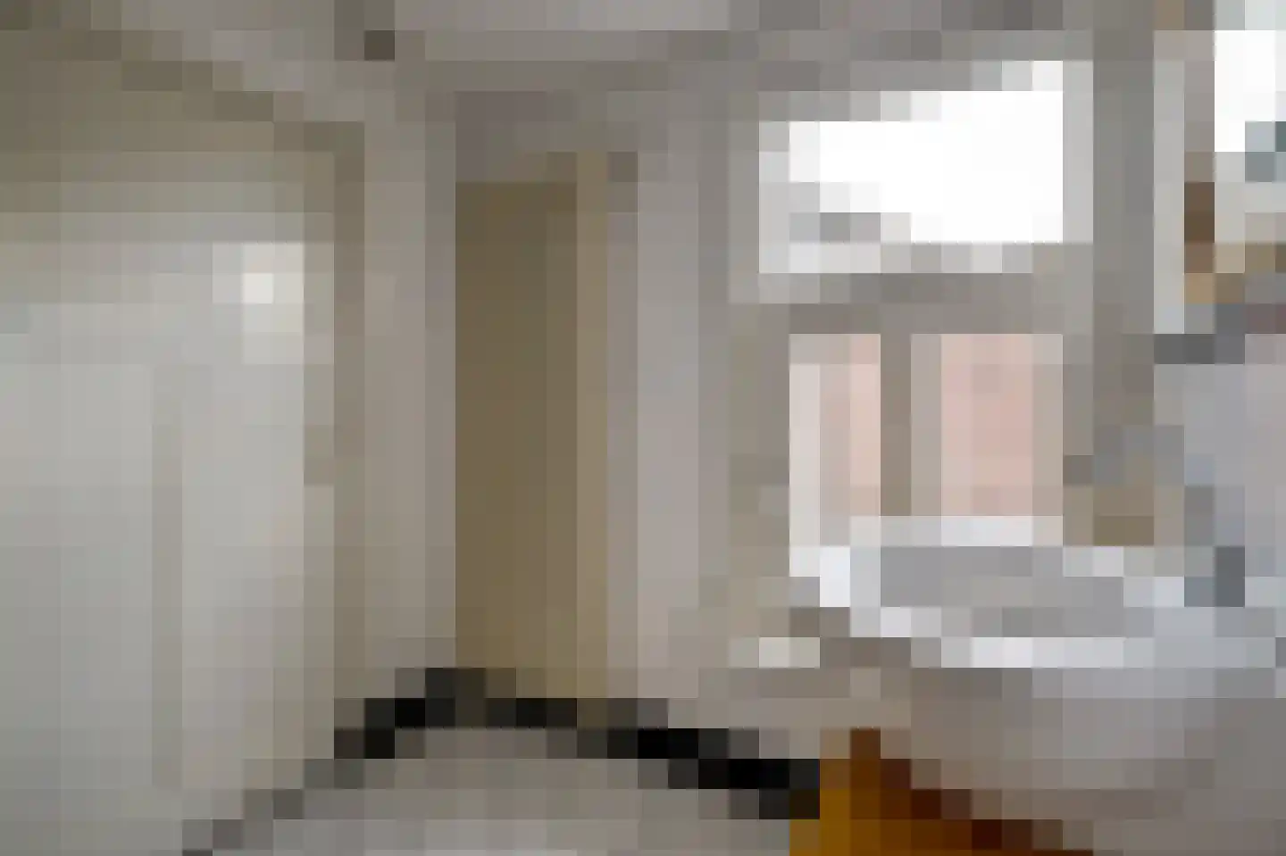 Henseniusstraat 53 Venray thumbnail 22