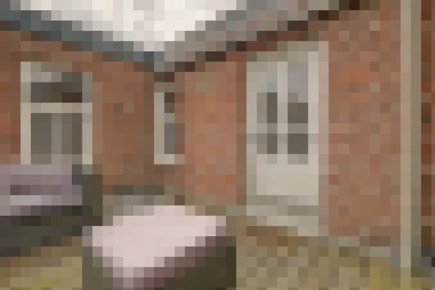 Henseniusstraat 53 Venray thumbnail 26