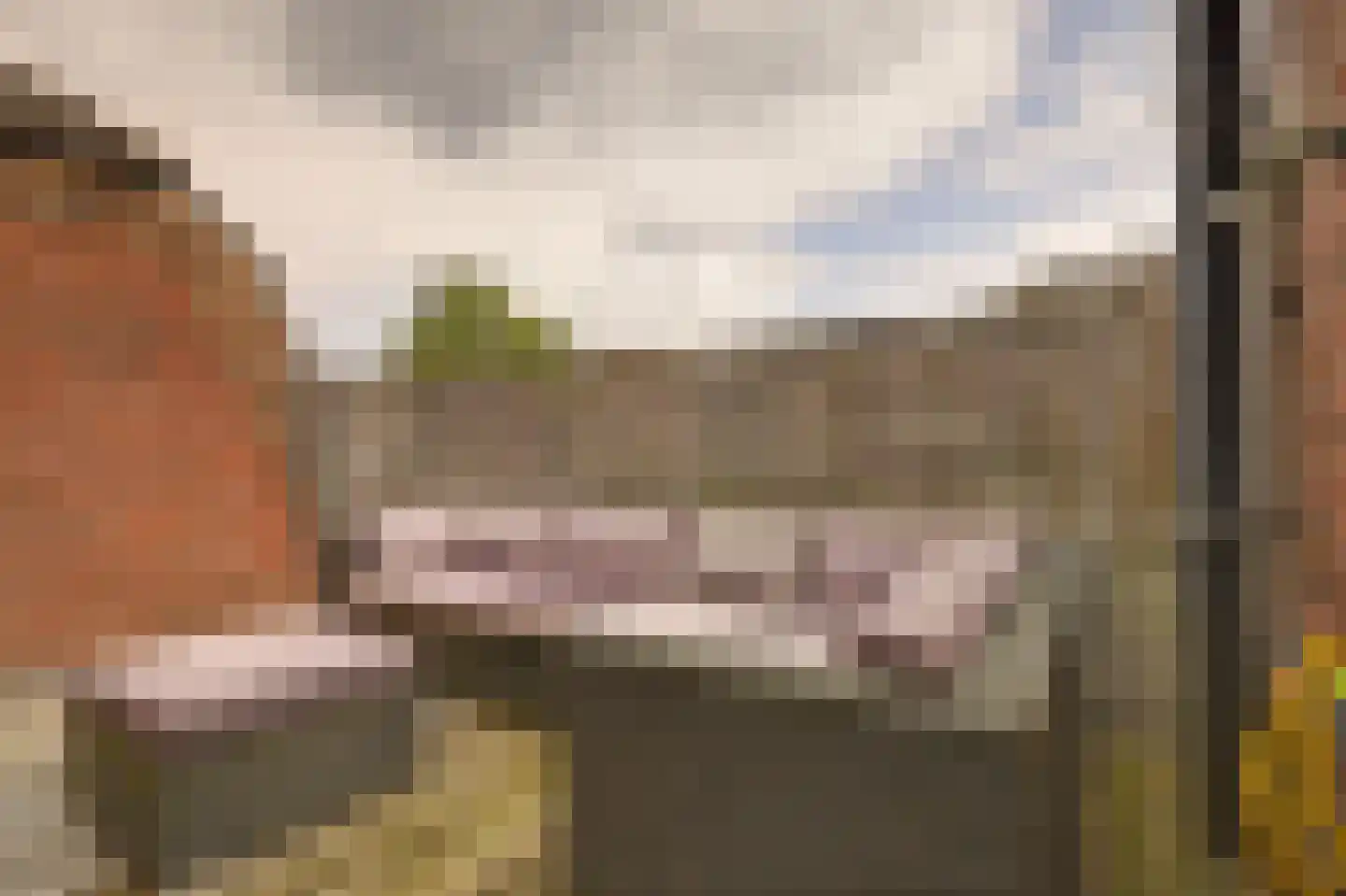 Henseniusstraat 53 Venray thumbnail 27