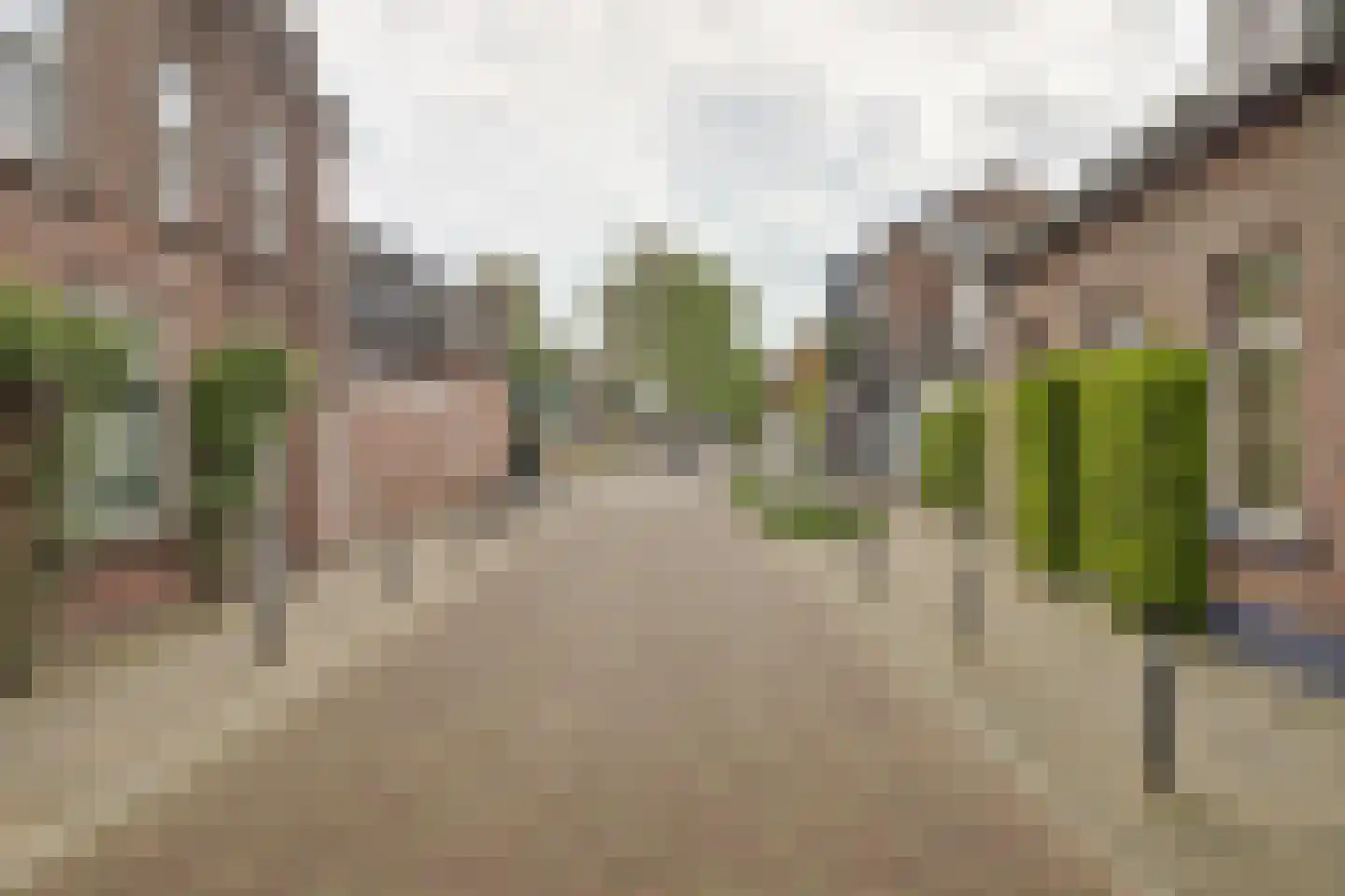 Henseniusstraat 53 Venray thumbnail 30