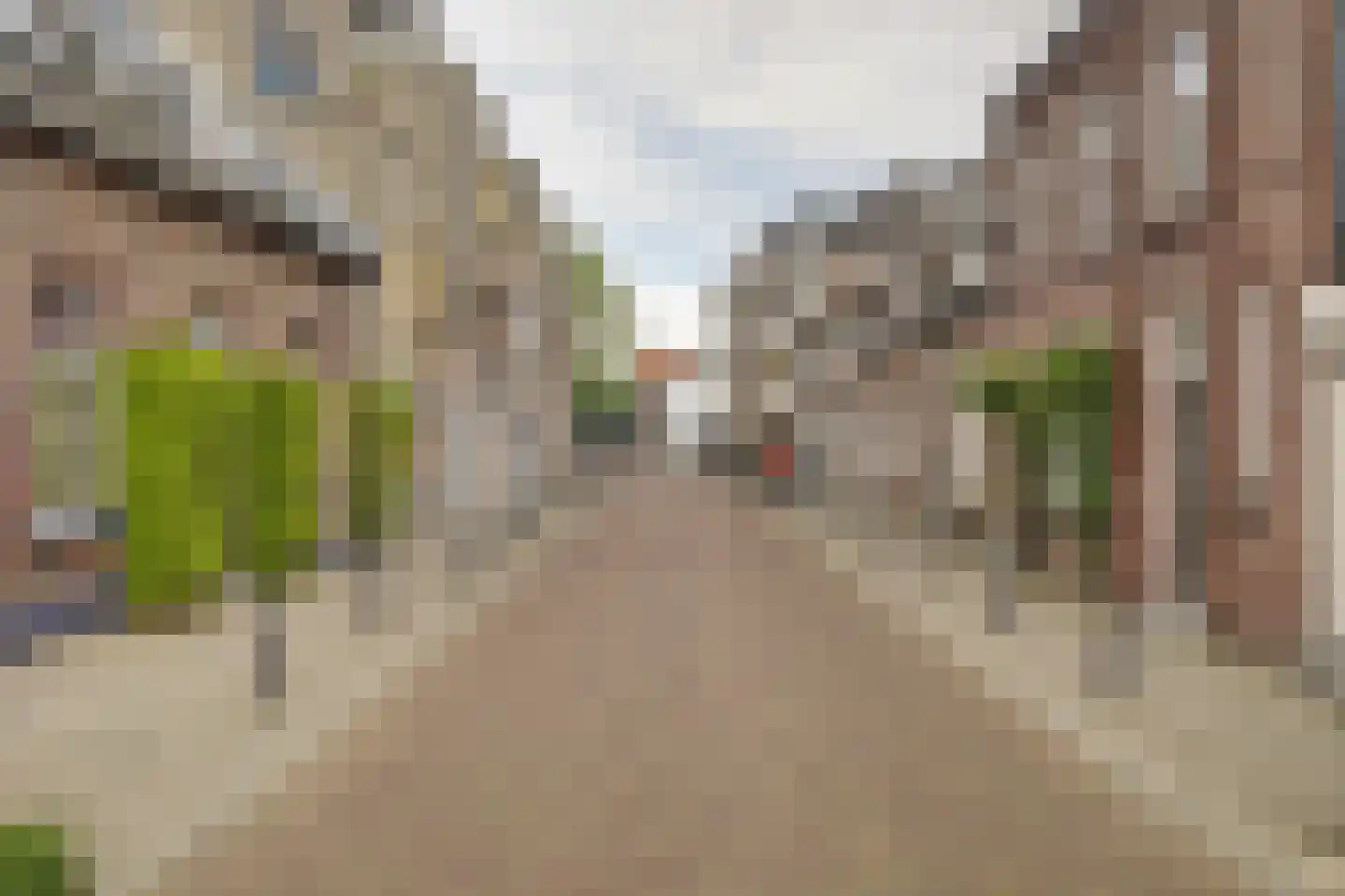 Henseniusstraat 53 Venray thumbnail 31