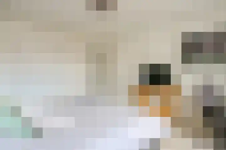 Hensjesweg 17 Barneveld thumbnail 22