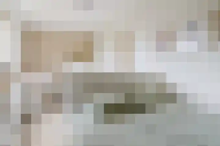 Hensjesweg 17 Barneveld thumbnail 30
