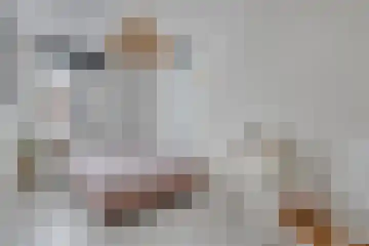 Hensjesweg 18 Barneveld thumbnail 18